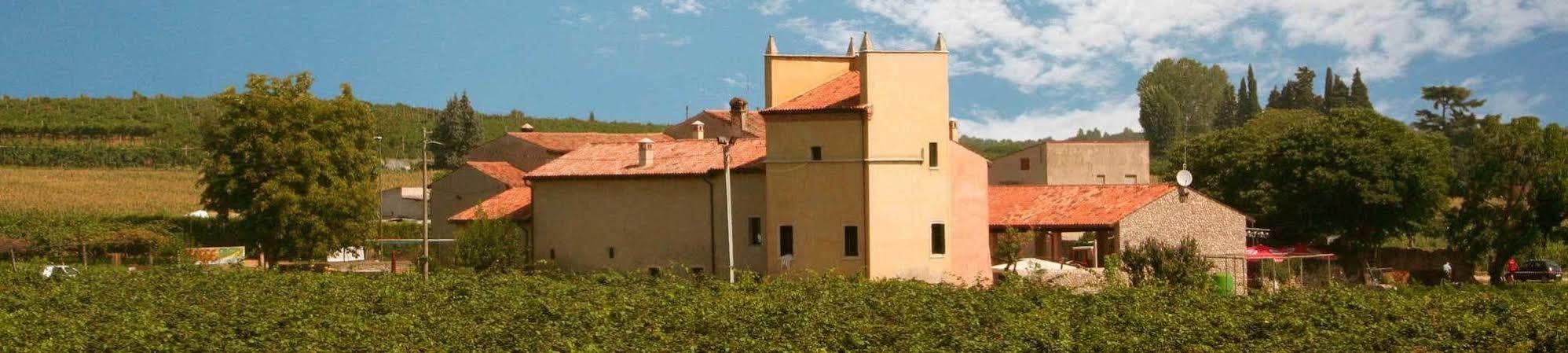 Agriturismo Nicobresaola Sommacampagna Bagian luar foto